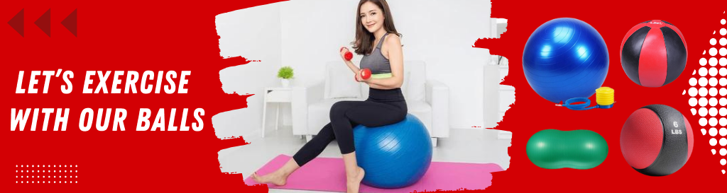 Exercise Ball Exercise Ball Suppliers Importer EnergieFitness