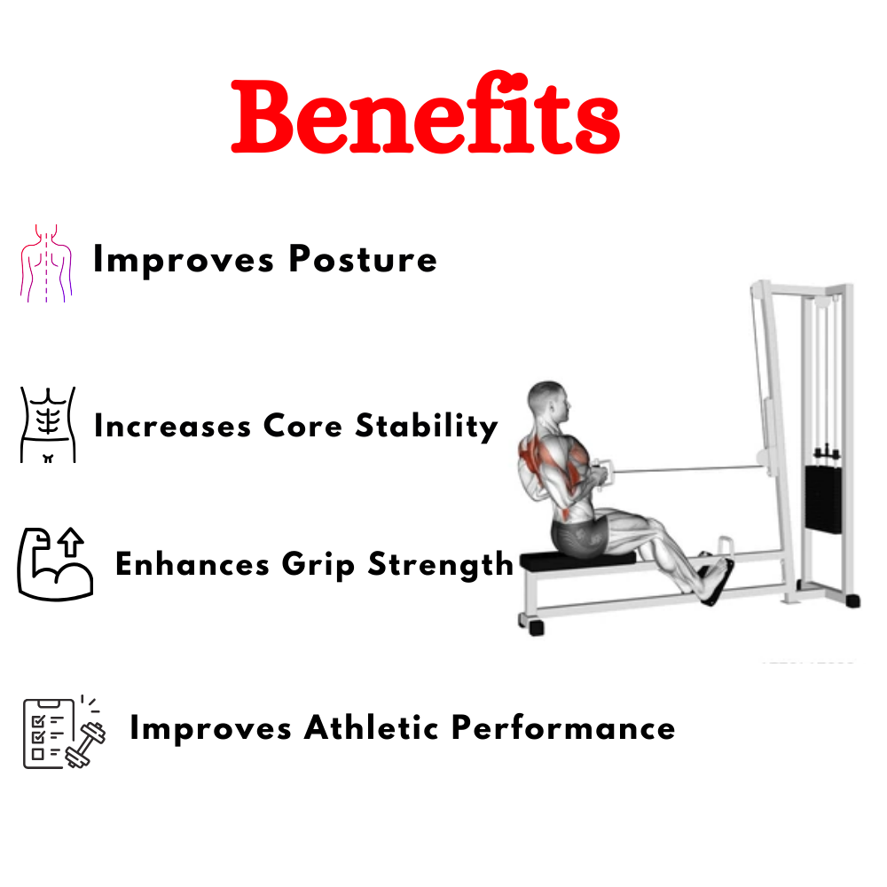 Best Seated Row Machine BK-004