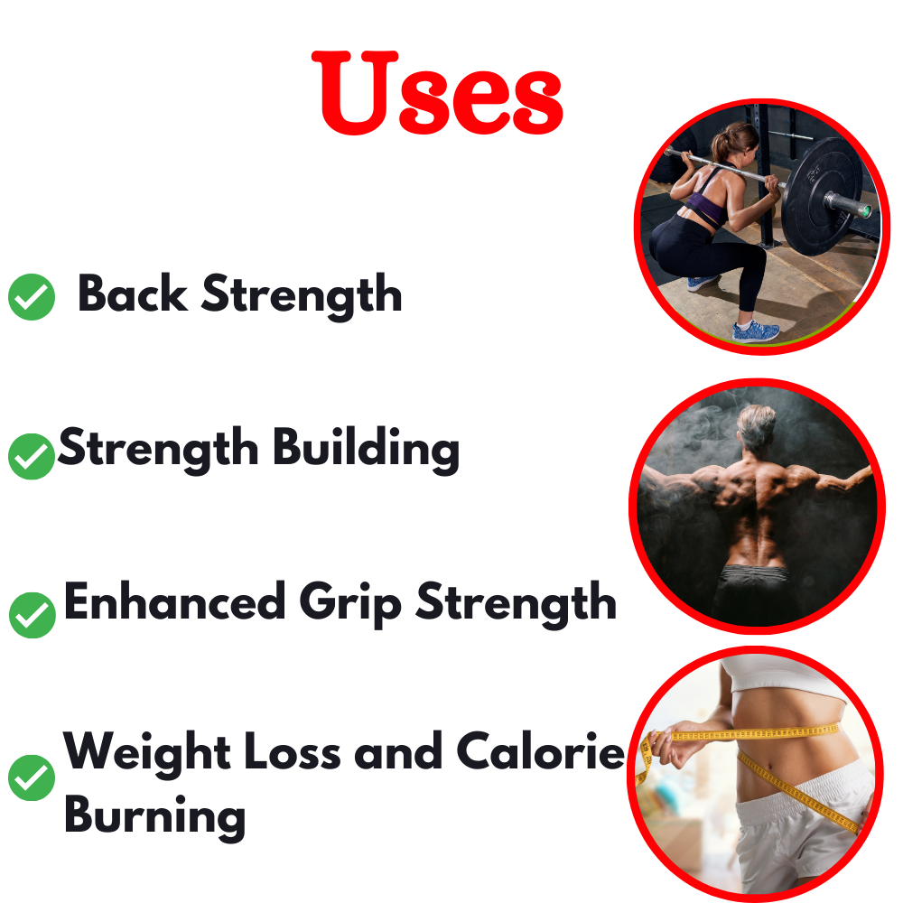 Best Seated Row Machine BK-004