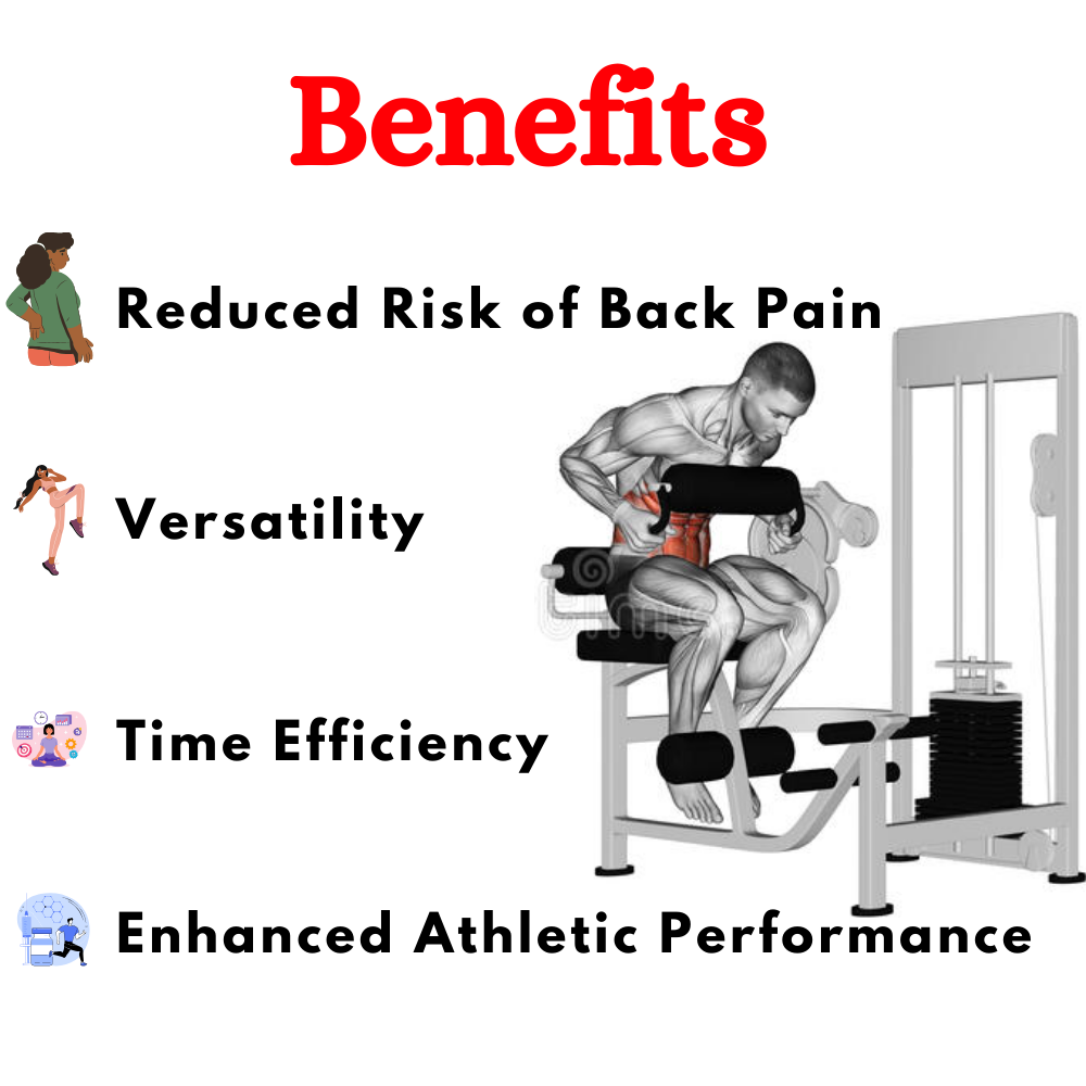 Best Lower Back & Abdominal Machine in India LY-0910
