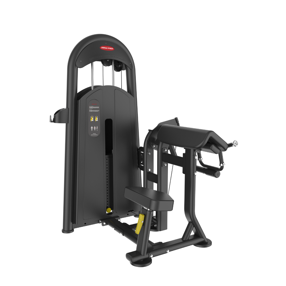 Imported Biceps Curl Machine BK-006