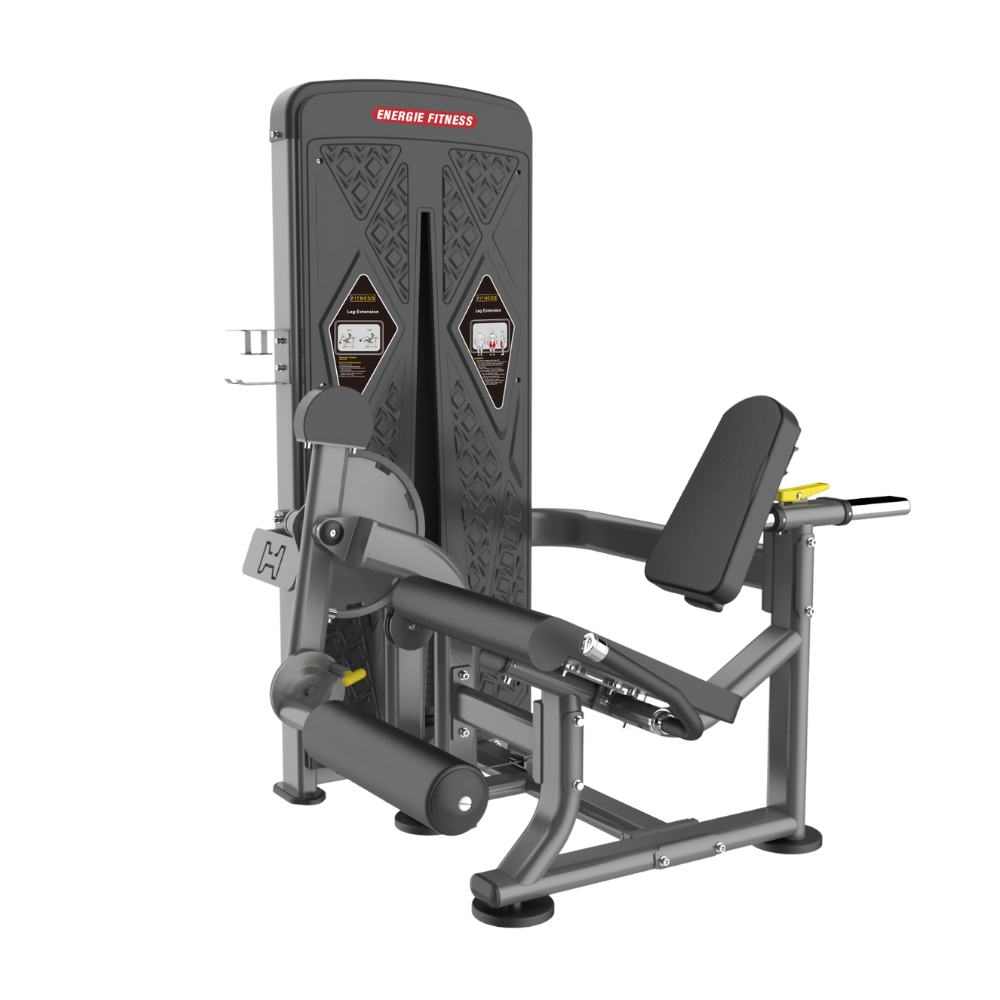 Vertical Leg Extension Home Gym Machine With Leg Press Inspire