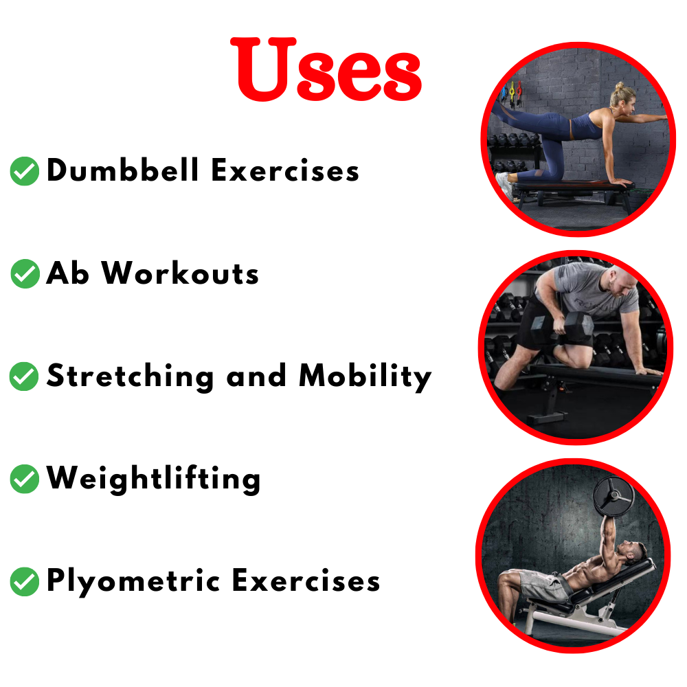 Buy Best Flat Gym Bench ER-16