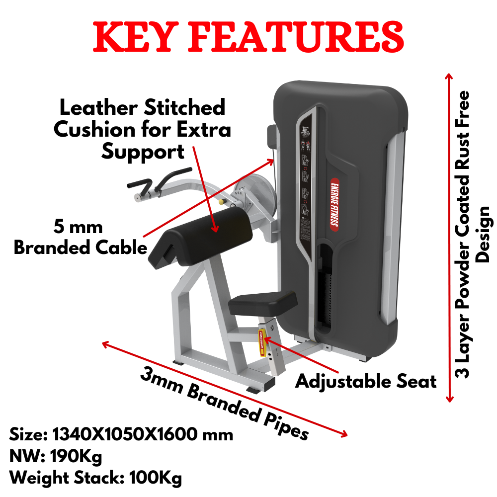 Premium Biceps Curl/Triceps Extension ER-0607
