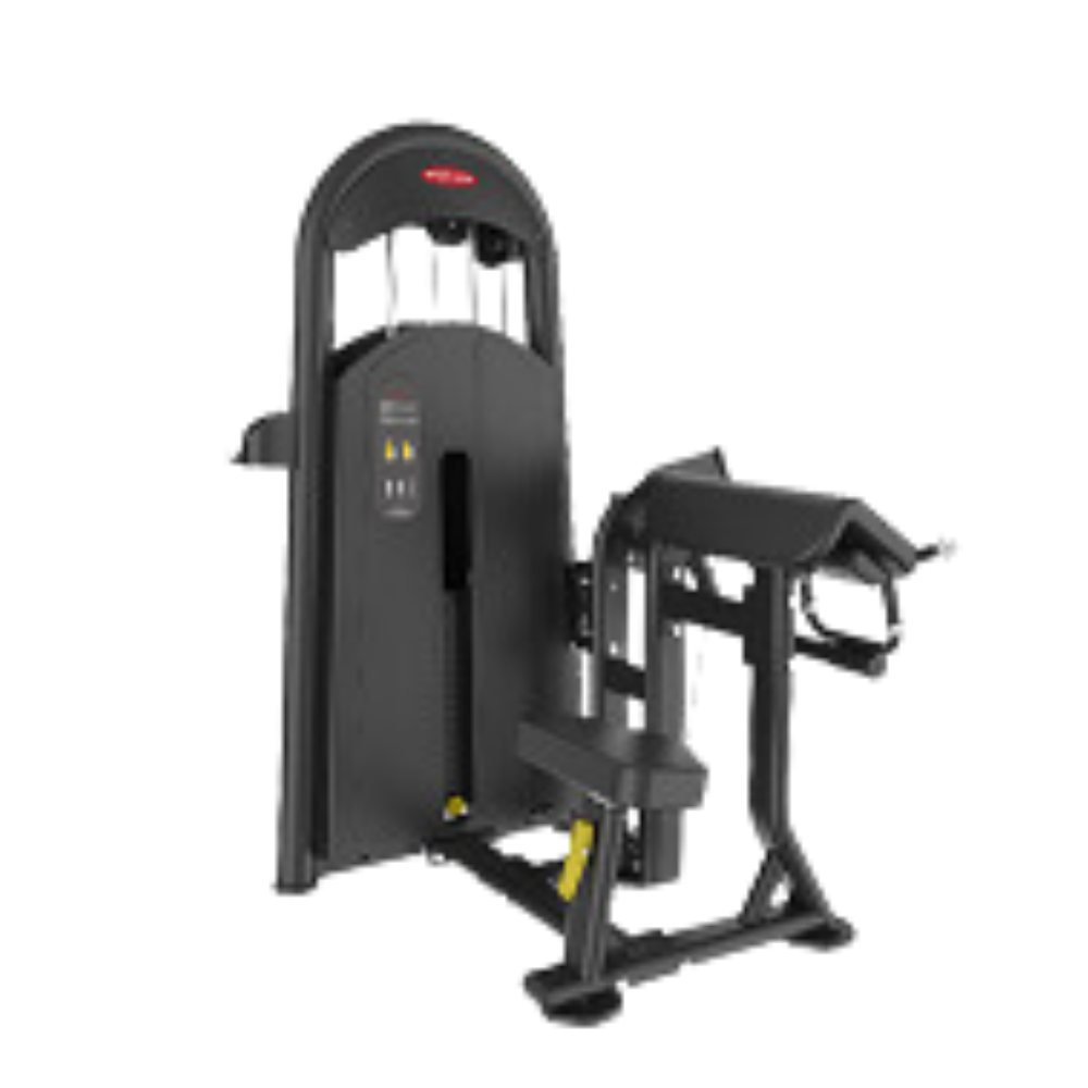 Luxury Biceps Triceps Exercise Gym Machine -LY-0607 – EnergieFitness