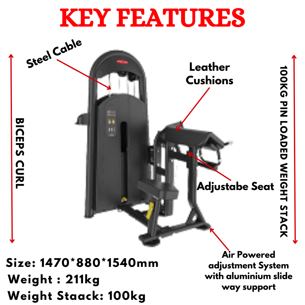 Imported Biceps Curl Machine BK-006