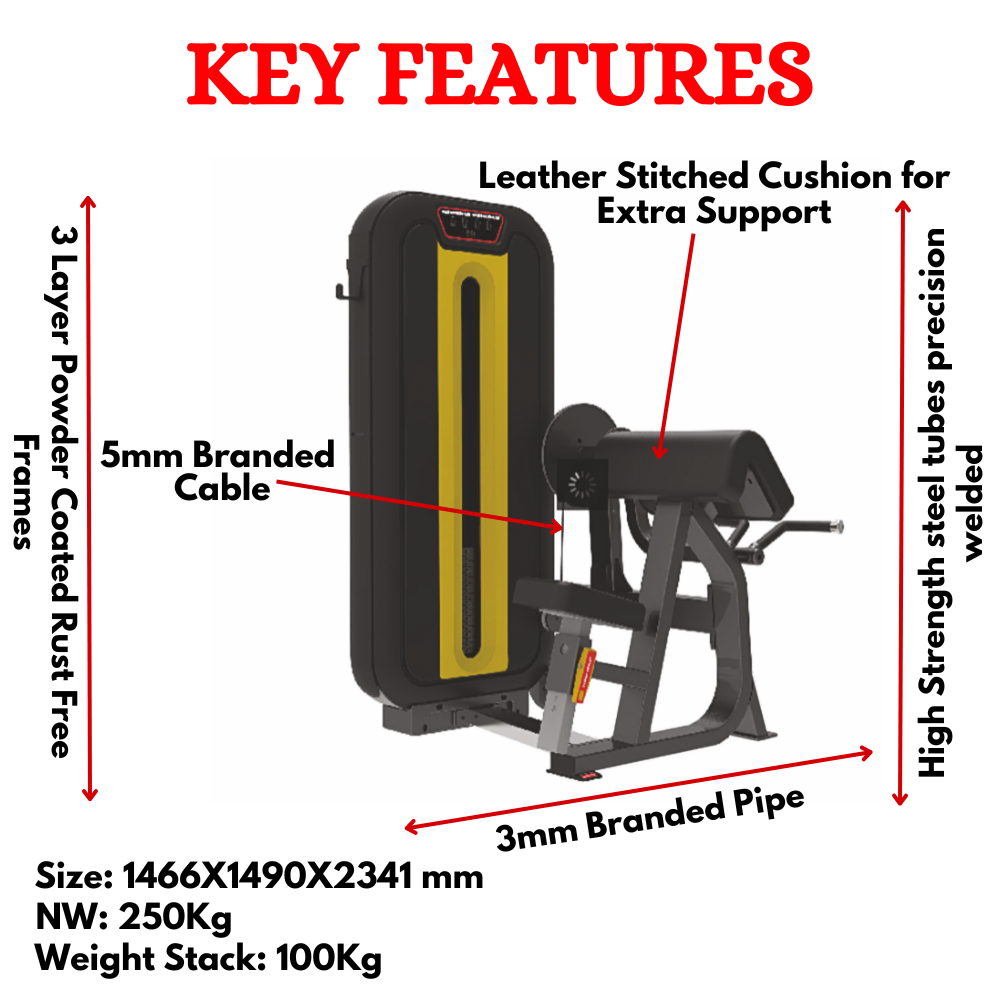 Imported Biceps and Triceps Exercise Machine - LD-840