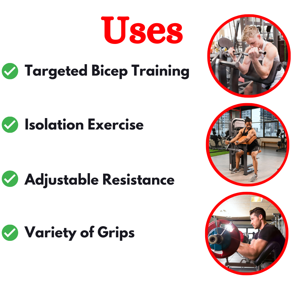 Biceps & Triceps Machine BU-0607