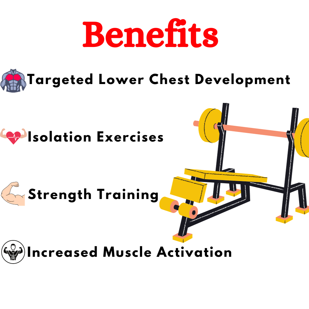 Best Olympic Decline Bench in India ER-30
