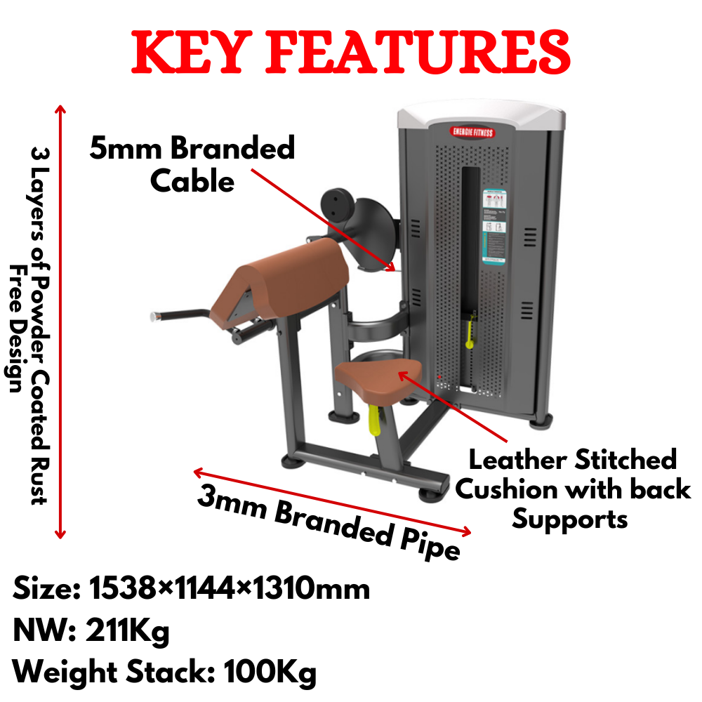 Premium Arm Curl Machine EMT-006