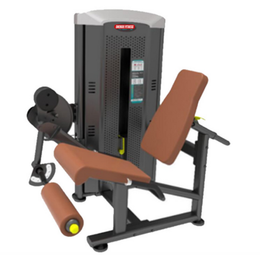 Best Leg Extension in India EMT-014