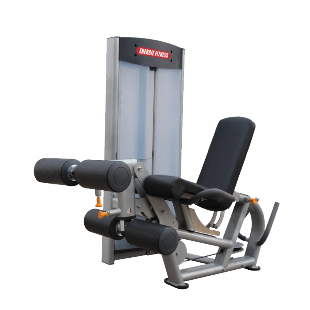 Prone Leg Curl/Leg Extension Machine ES-012