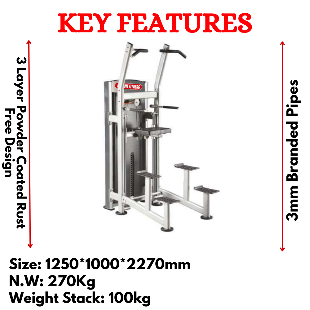 Best Chin Dip Exercise Machine ES-034