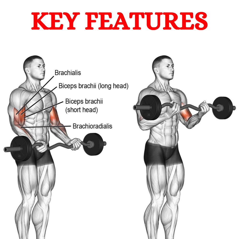 Premium Quality Fixed Rod - Key Features