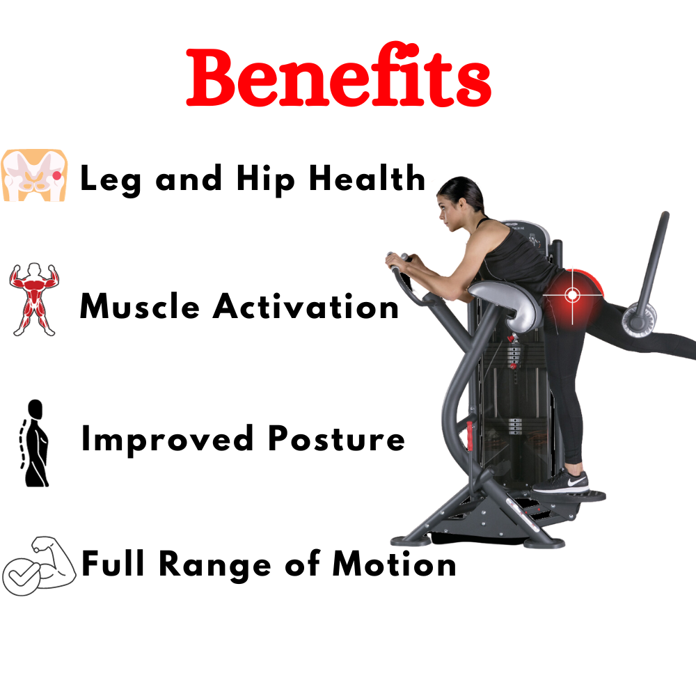 Latest Glute Machine in India ER-79