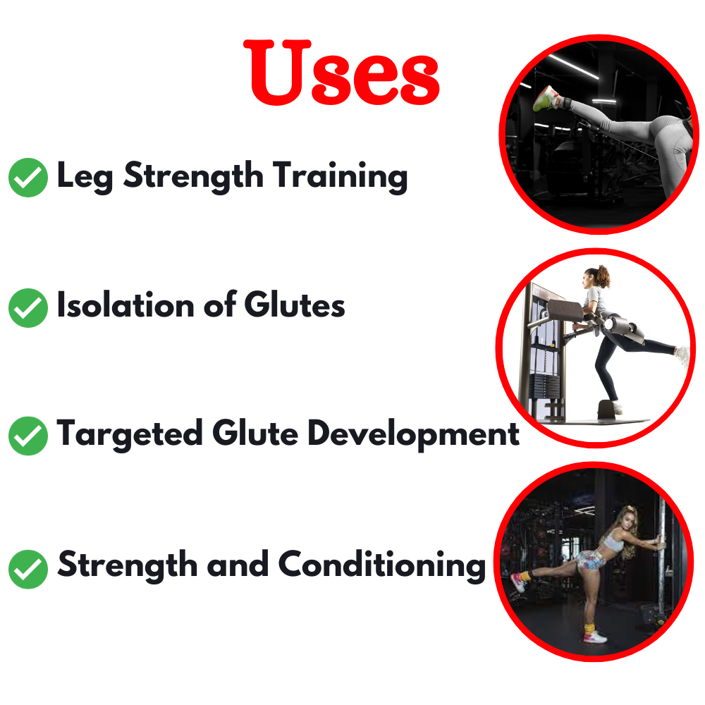 Latest Glute Machine in India ER-79