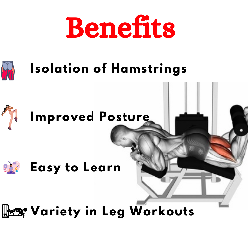 Premium Horizontal Leg Curl Machine ER-96