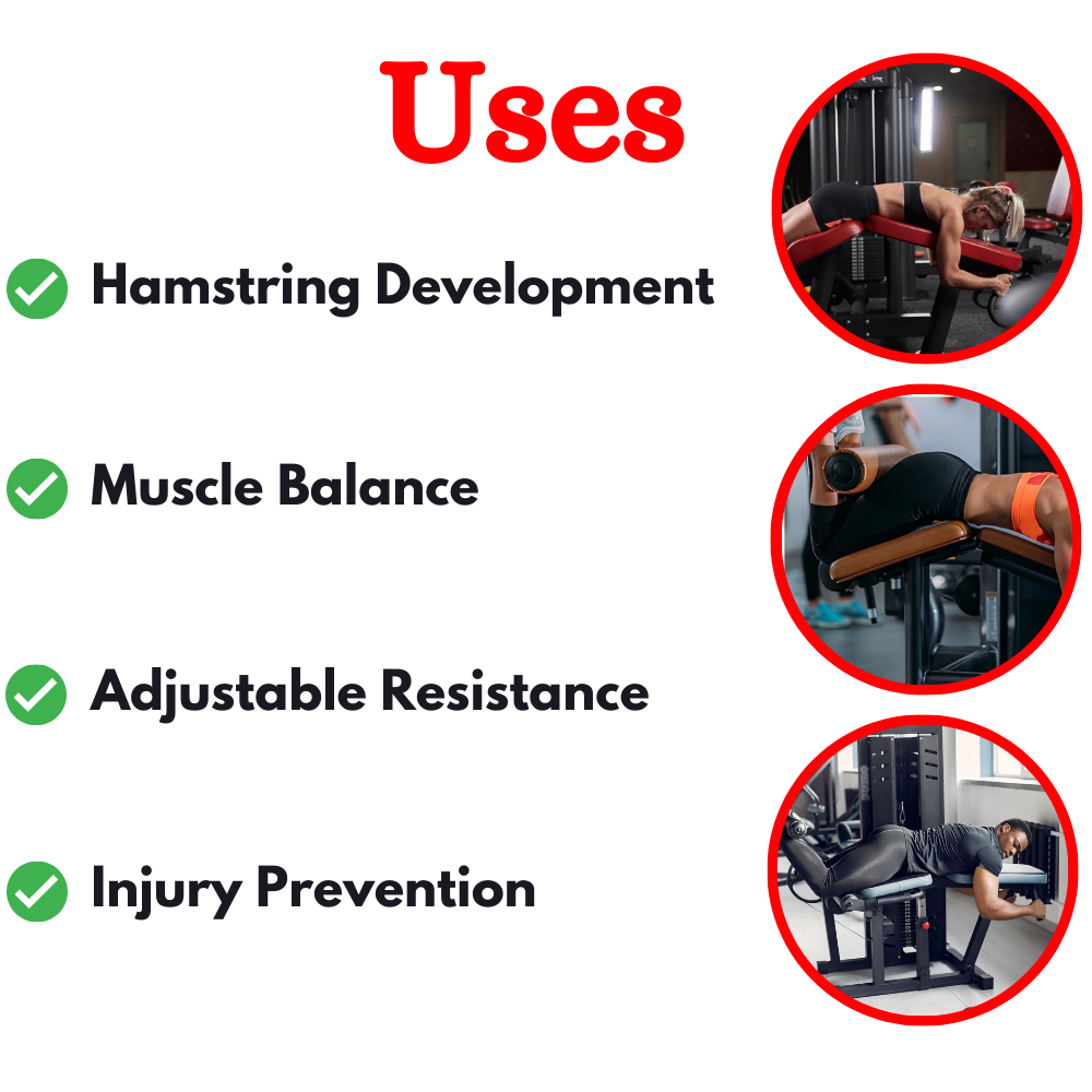 Premium Horizontal Leg Curl BK-013A