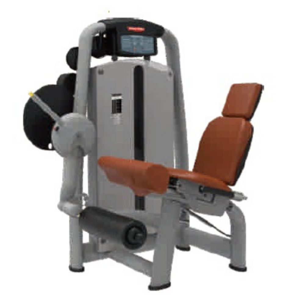 Luxury Leg Extension Machine ER-91