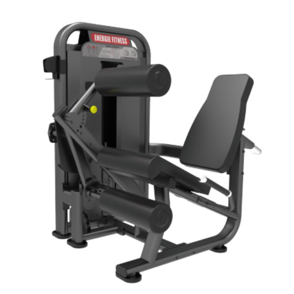 Latest Leg Curl /Leg Extension Machine EFT-1314