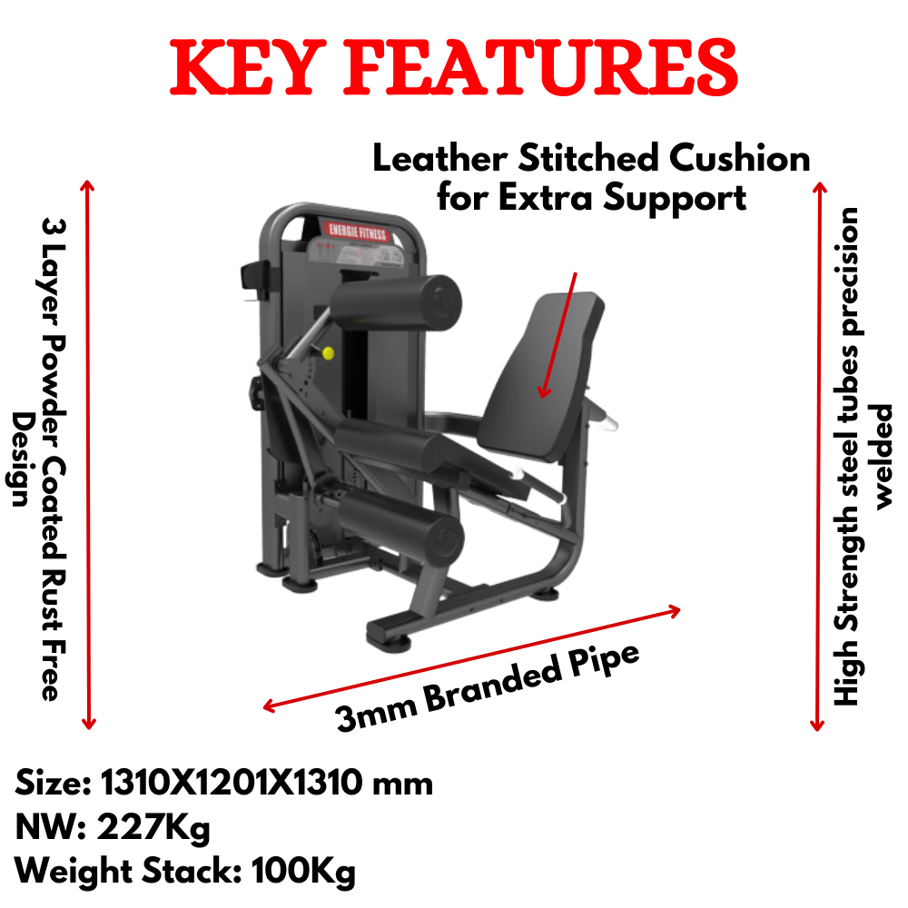 Latest Leg Curl /Leg Extension Machine EFT-1314
