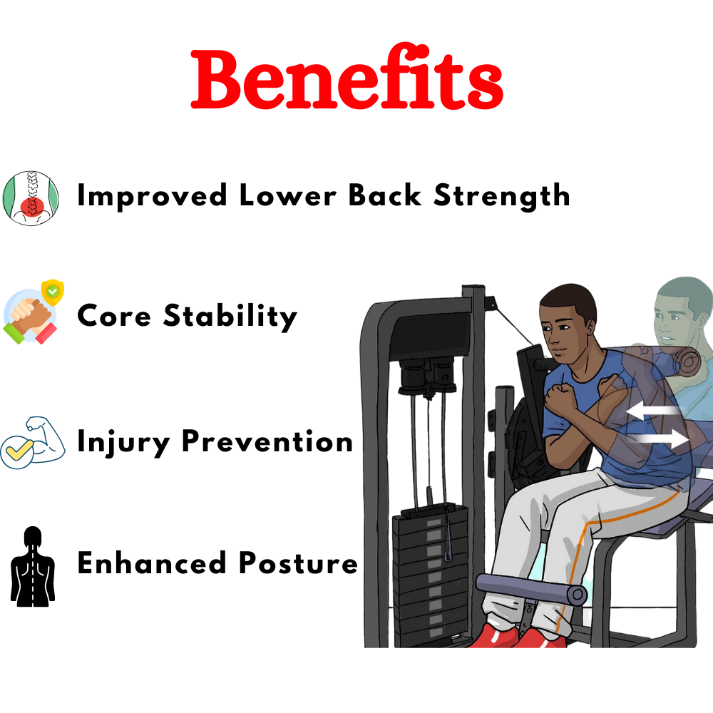 Premium Seated Abdominal/ Lower Back Extension Machine ES-057