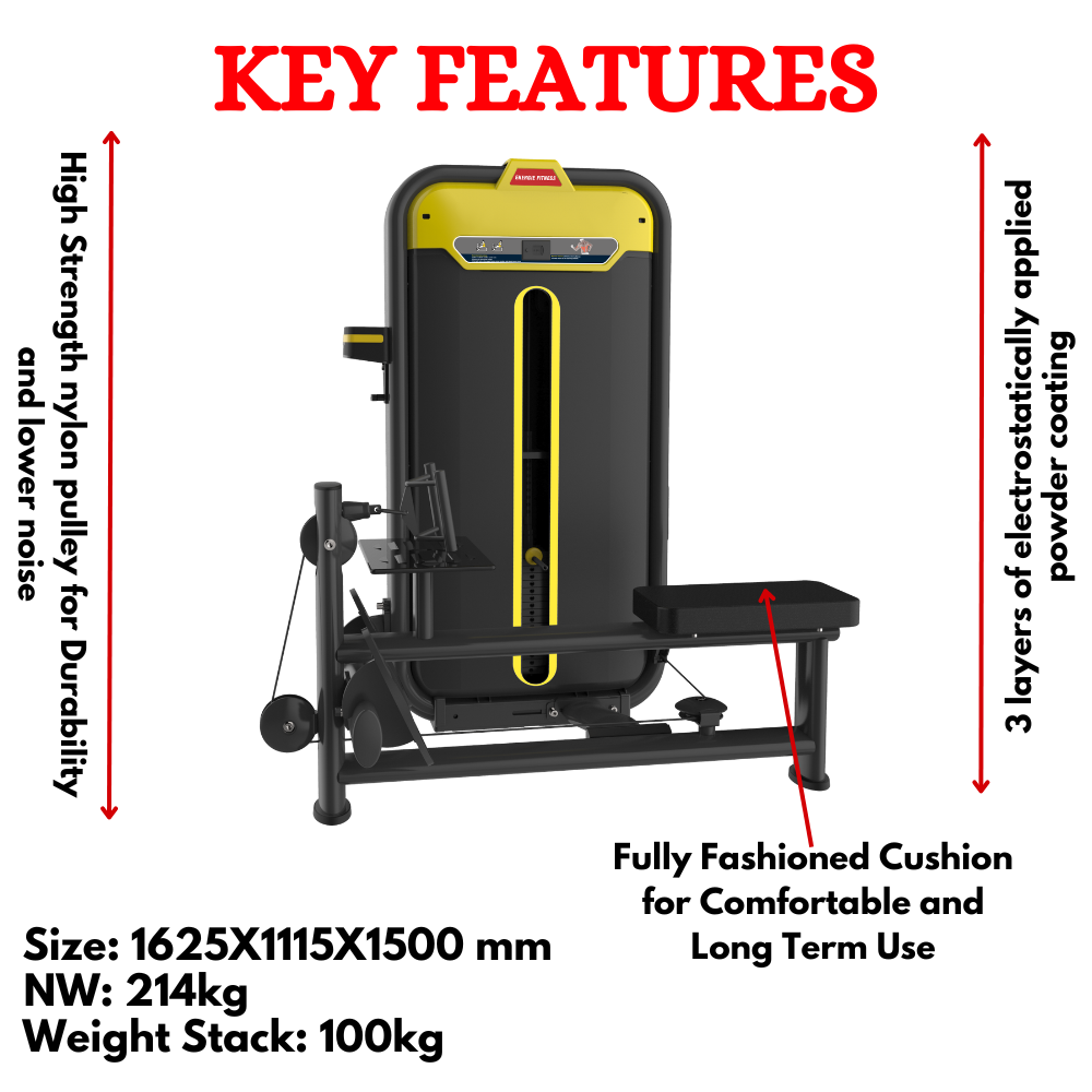 Best Low Row Machine in India BMW-012A