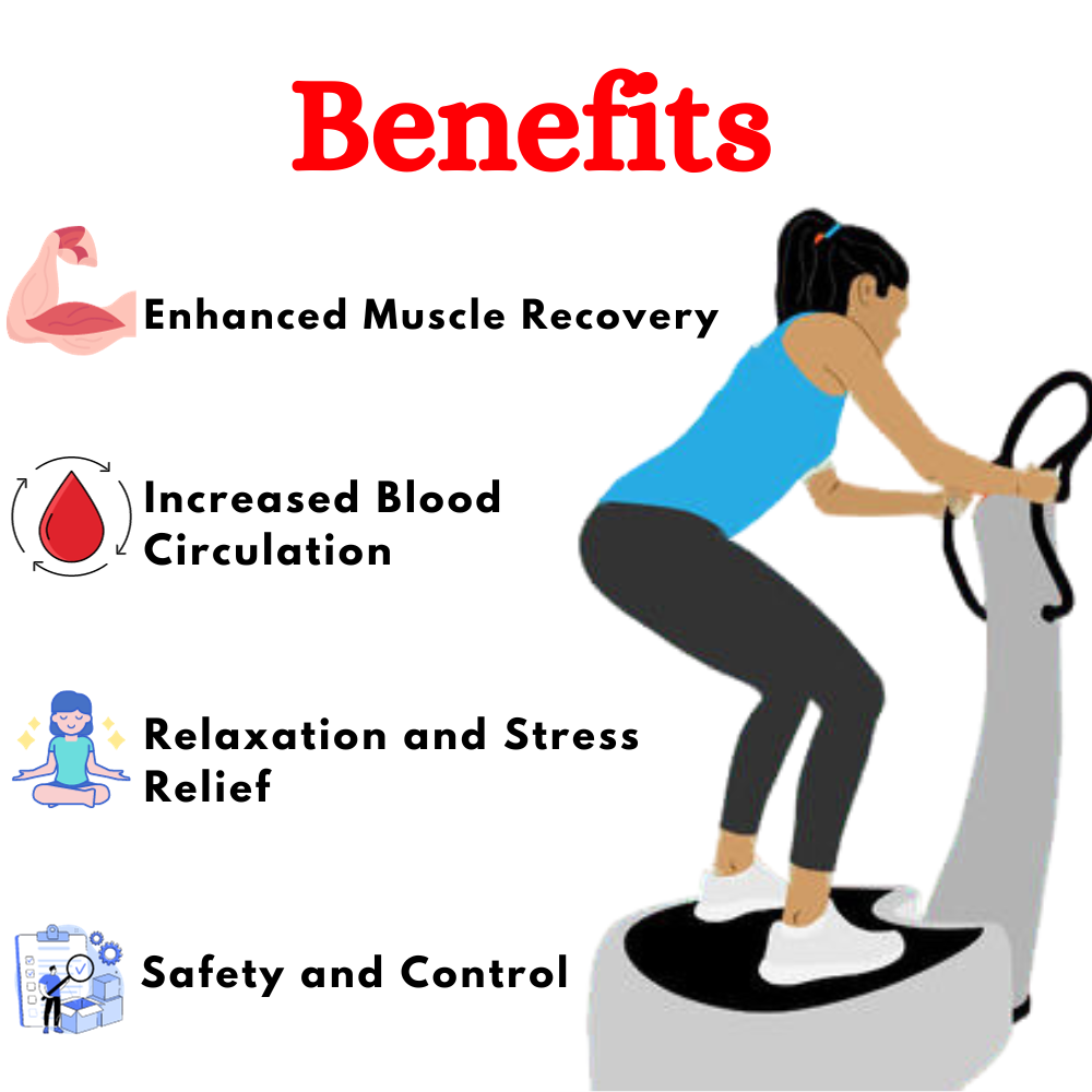 Exercise Massager & Vibrator for Fitness Workout EFM-701