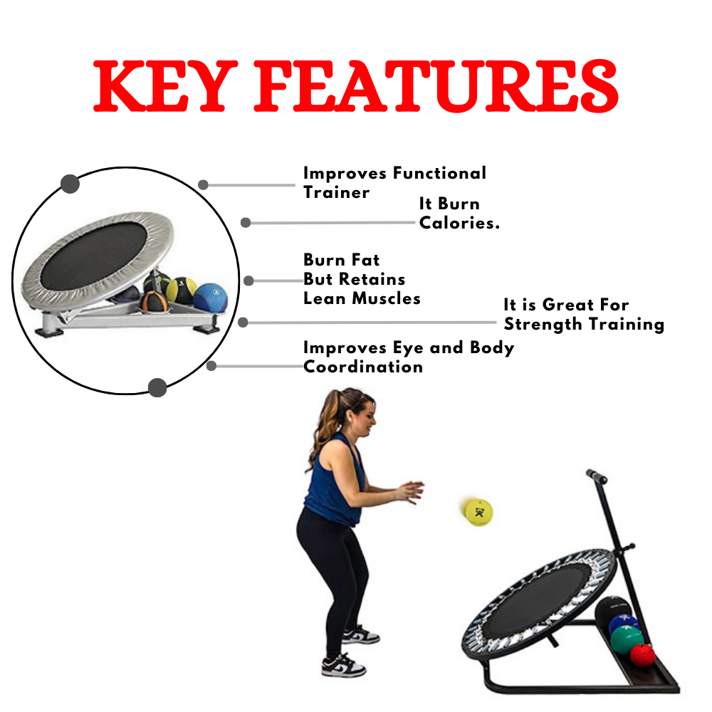 Imported Medicine Ball Reactor