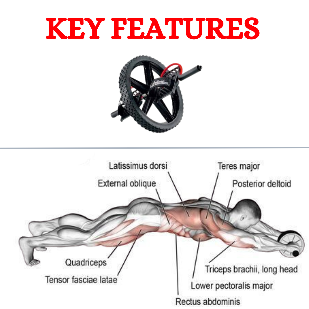 Fitness Power Wheel