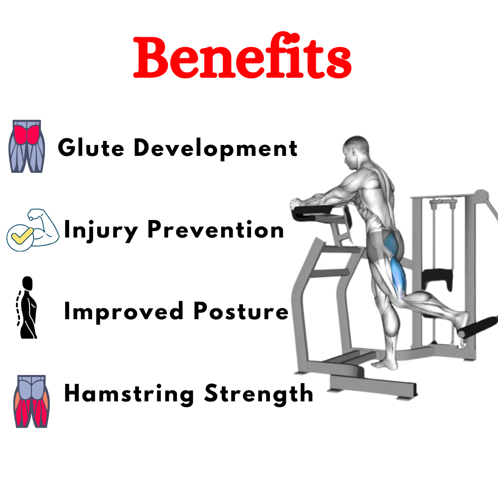 Best Rear Kick Machine in India PRO-008