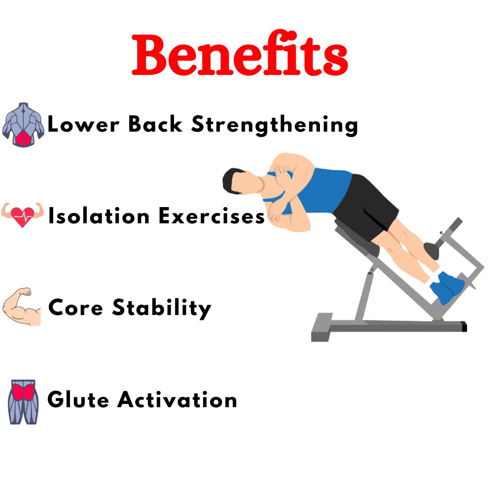 Best Roman Chair for Exercise ER-25