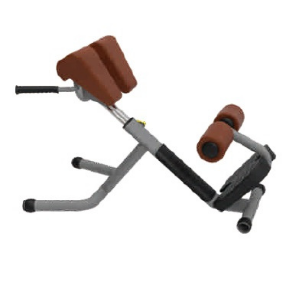 Best Roman Chair for Exercise- ER-25