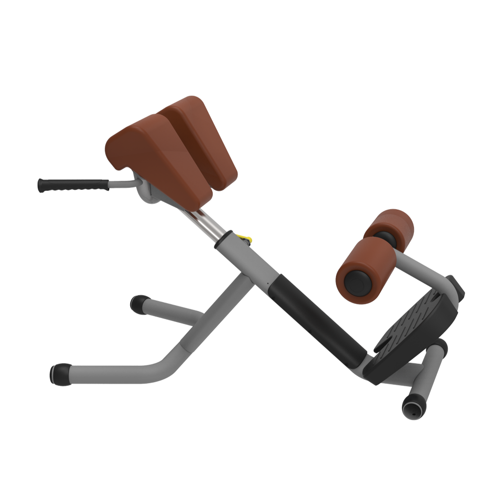 Best Roman Chair for Exercise ER-25