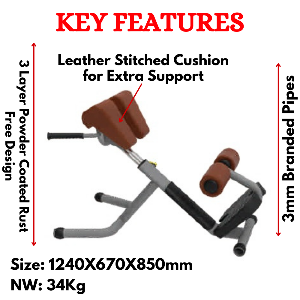 Best Roman Chair for Exercise ER-25