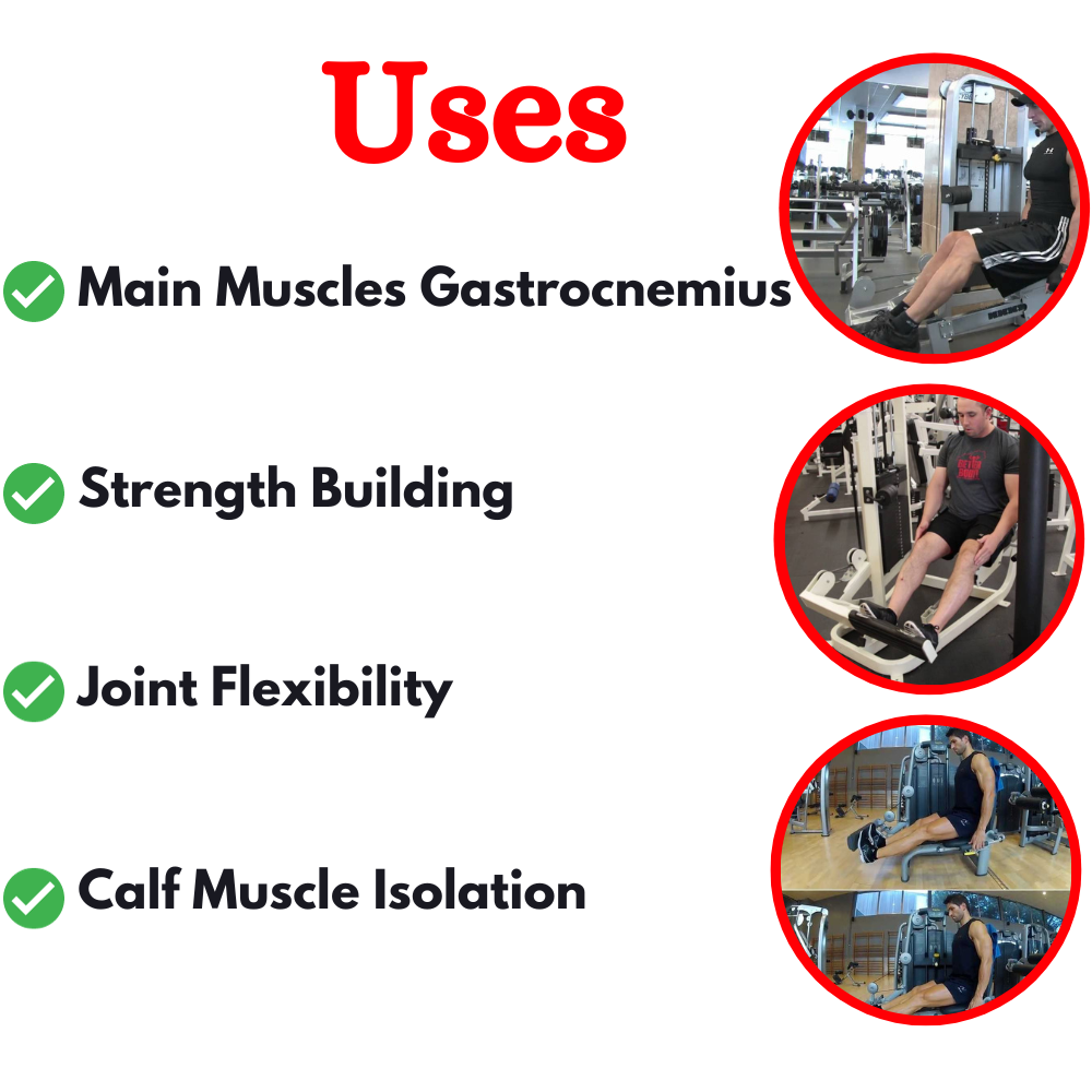 Luxury Rotary Calf Gym Equipment ER-60