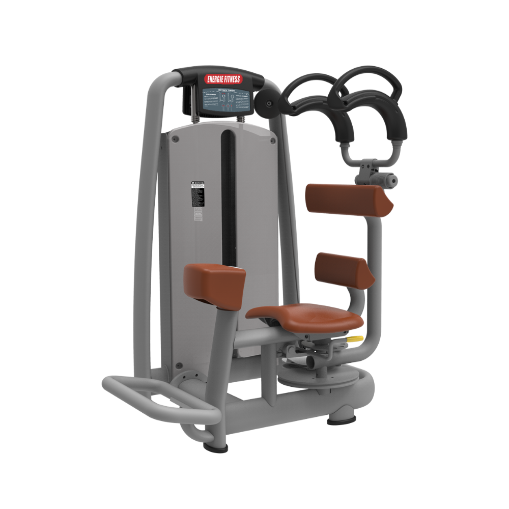 Rotary Torso Gym Machine in India ER-50