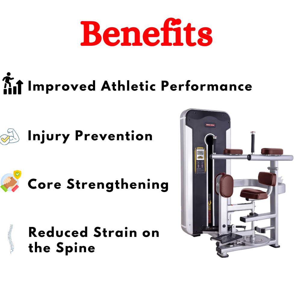 Best Rotary Torso Machine in India - TNT-011
