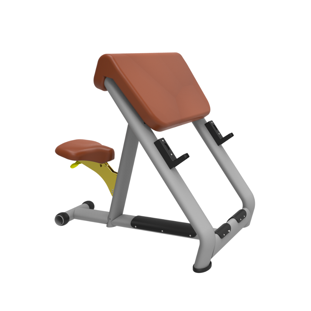 Luxury Scott Bicep & Barbell Curl Bench ER-23