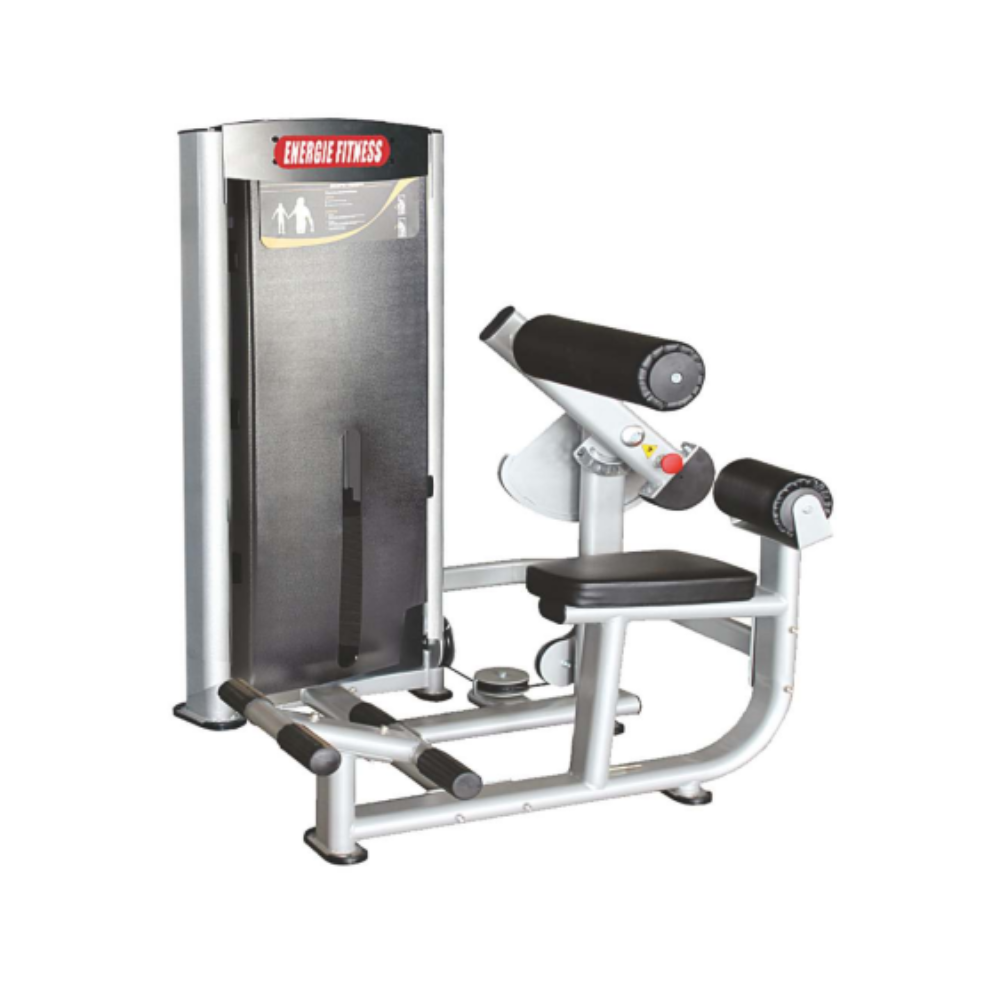 Premium Seated Abdominal/ Lower Back Extension Machine ES-057