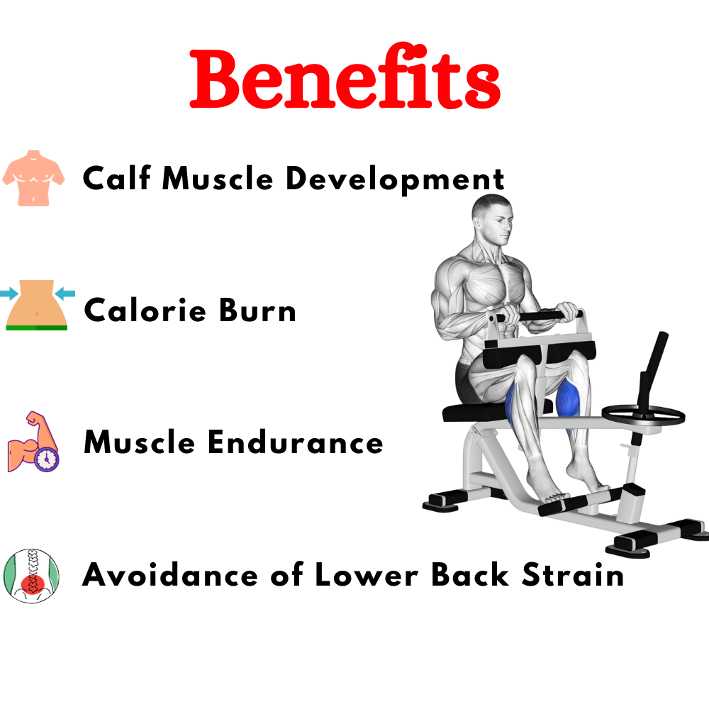 Best Seated Calf Machine in India-ER-962