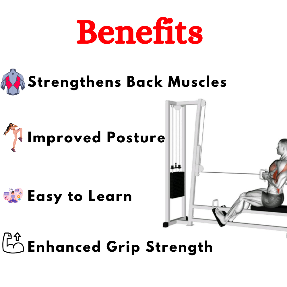 High Pully & Seated Row Machine Price in India ES-014