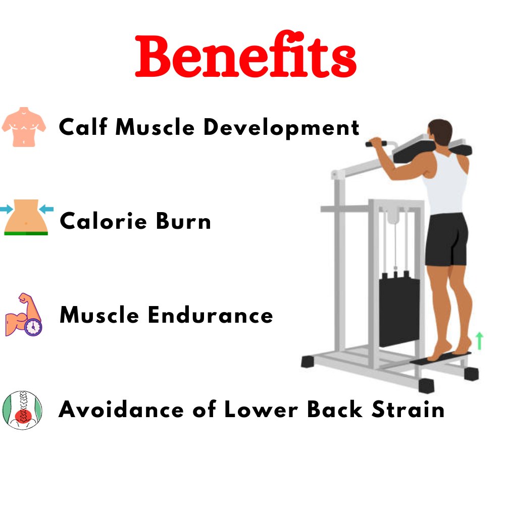 Best Standing Calf Machine ER-97