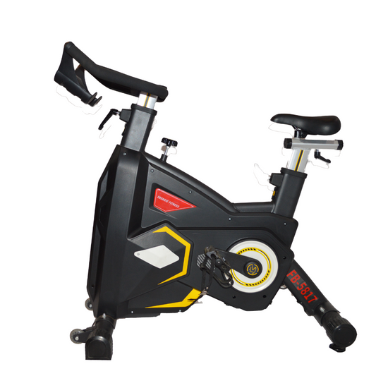 Best Transformer Spinning Bike in Black-FB-5817