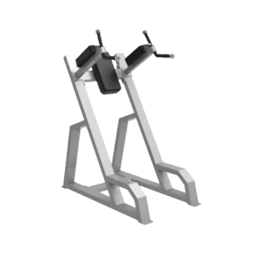Best Vertical Knee UP / DIP ER-947