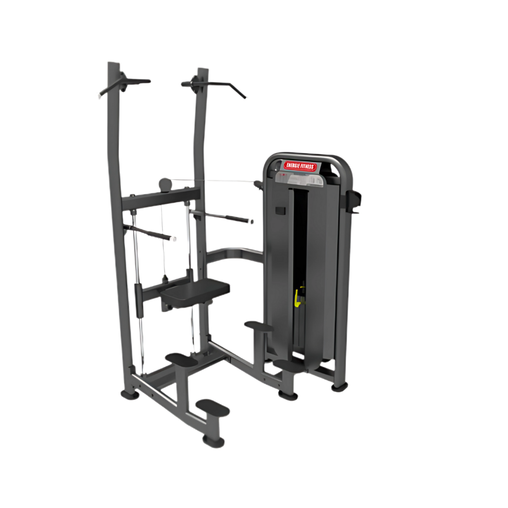 Best Weight Assisted Chin-Dip in India EFT-008