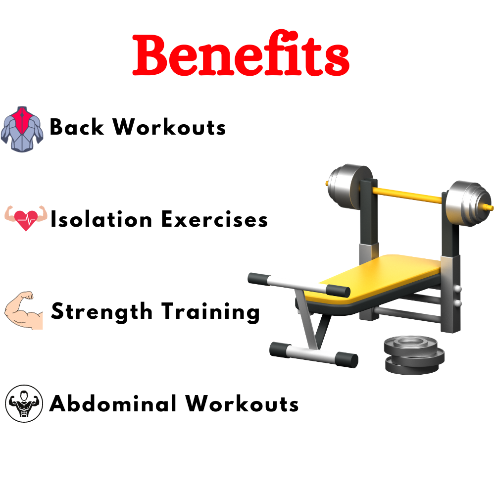 Weight Bench (Luxury) Gym Bench J-023