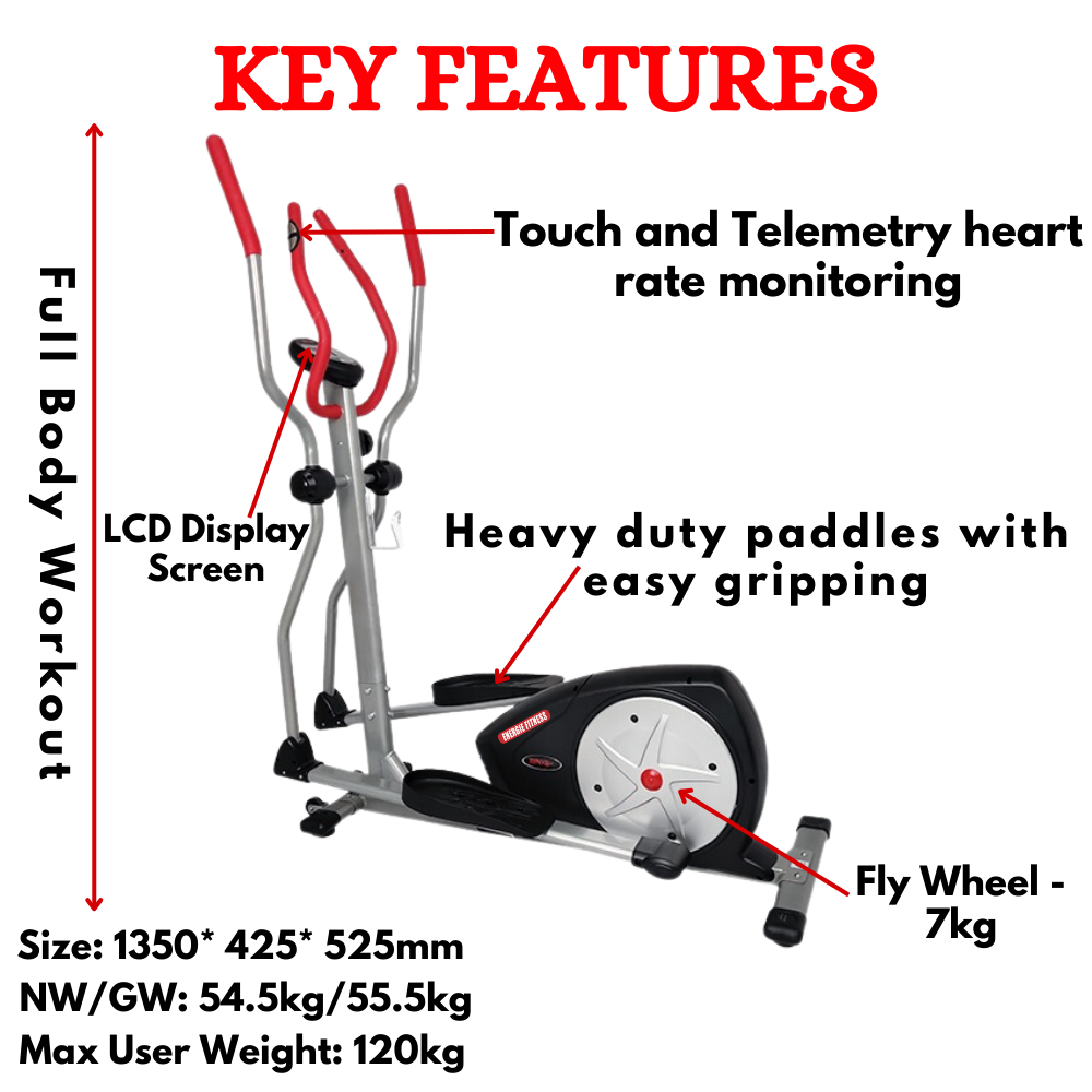 Best Quilty Cross Trainer 3618A