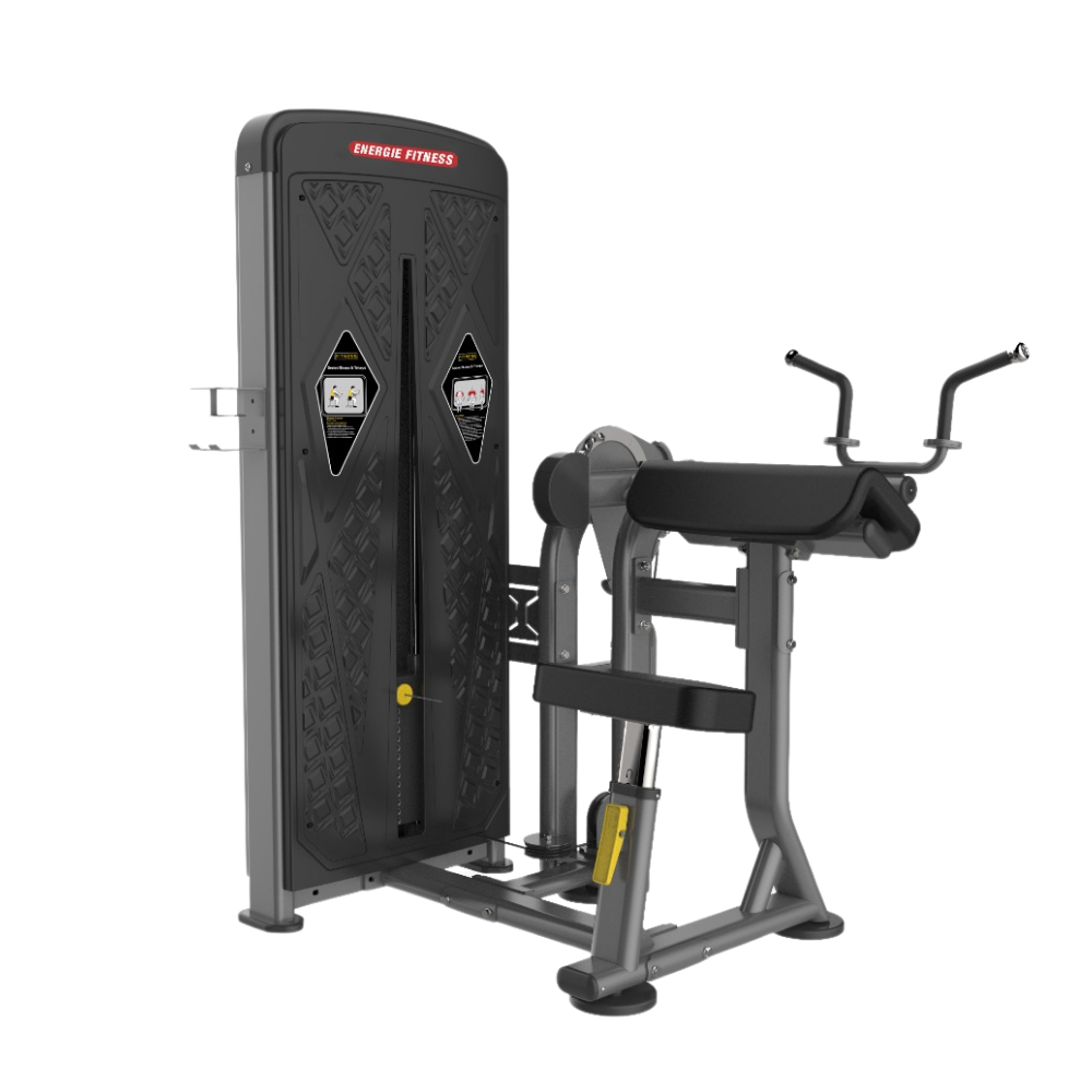 Biceps & Triceps Machine