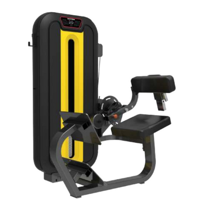 Back Extension Exercise Machine LD-831